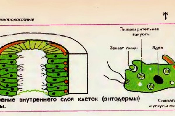 Зайти кракен через тор